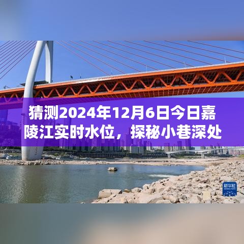 2024年12月12日 第32页