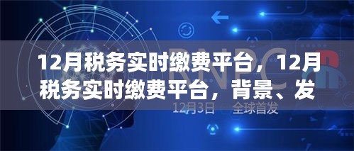 12月税务实时缴费平台，背景、发展、影响与时代地位解析