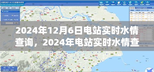 精准调控之旅，电站实时水情查询与能源生态平衡的联动
