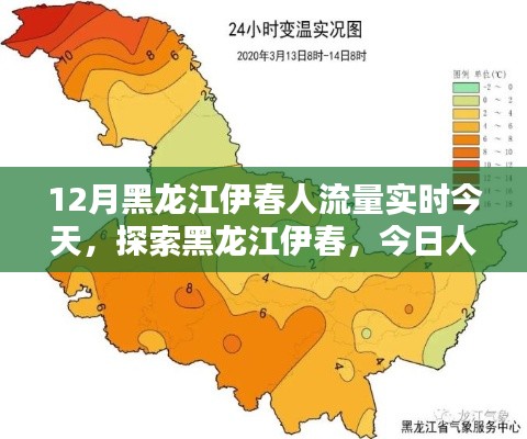 黑龙江伊春今日人流量实时监测，全攻略探索伊春之旅