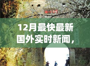 十二月最新国外实时新闻，心灵觉醒的自然美景探索之旅