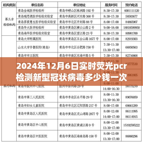 深度评测，2024年实时荧光PCR检测新型冠状病毒的价格与体验