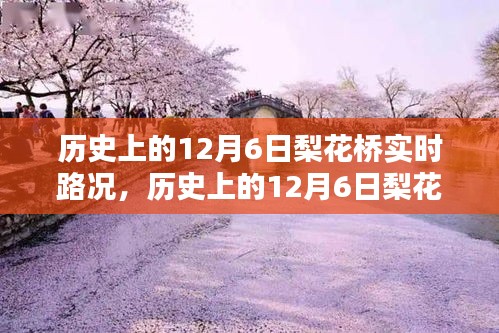 历史上的12月6日梨花桥实时路况深度解析与观点阐述