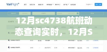 12月SC4738航班实时动态查询，全面评测与详细介绍