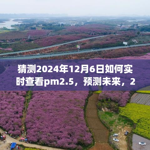 2024年PM2.5实时查看技术革新与前景展望，预测未来，探索实时查看PM2.5的新时代