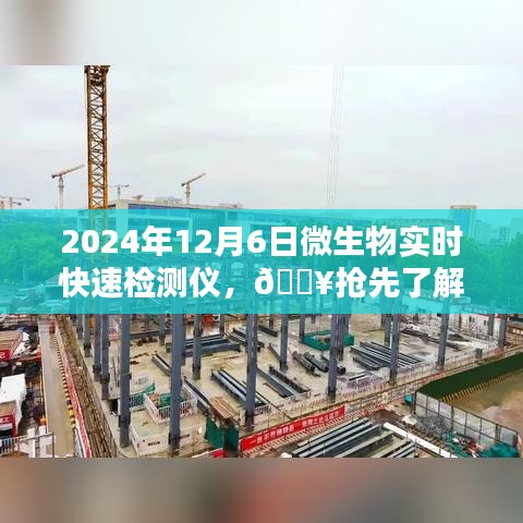 2024年12月12日 第17页