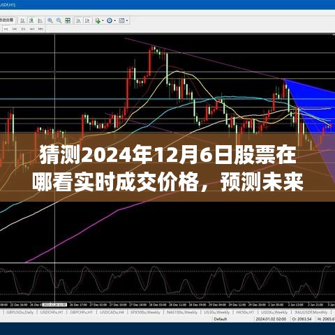 2024年12月12日 第16页