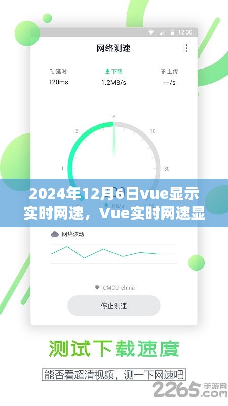 Vue实时网速显示评测报告，深度解析与用户体验分析（最新2024版）