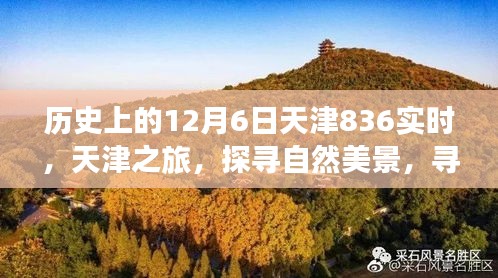 天津历史实时探寻之旅，自然美景与内心宁静的追寻（日期，12月6日）