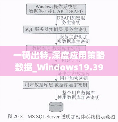 一码出特,深度应用策略数据_Windows19.390