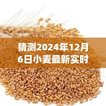 最新预测，风云变幻的粮价风云录——小麦价格走势展望至2024年12月6日