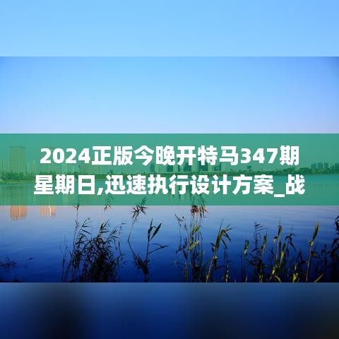 2024正版今晚开特马347期星期日,迅速执行设计方案_战略版3.307