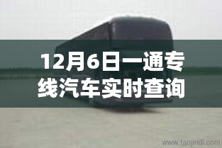 12月6日专线汽车实时查询，便捷与局限并存