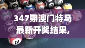 347期澳门特马最新开奖结果,可持续发展实施探索_HDR版1.570