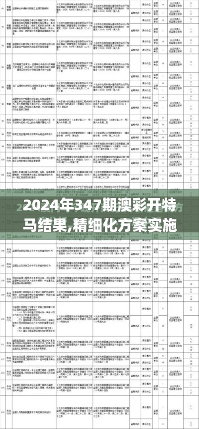 2024年347期澳彩开特马结果,精细化方案实施_3DM4.197