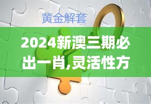 2024新澳三期必出一肖,灵活性方案解析_VE版3.699