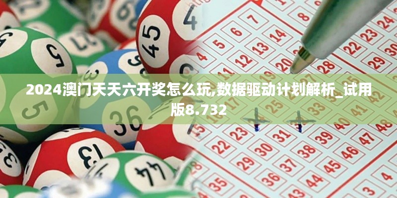 2024澳门天天六开奖怎么玩,数据驱动计划解析_试用版8.732