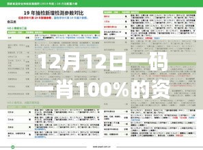 12月12日一码一肖100%的资料,实地分析数据计划_1440p13.311