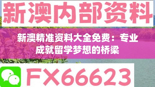 新澳精准资料大全免费：专业成就留学梦想的桥梁