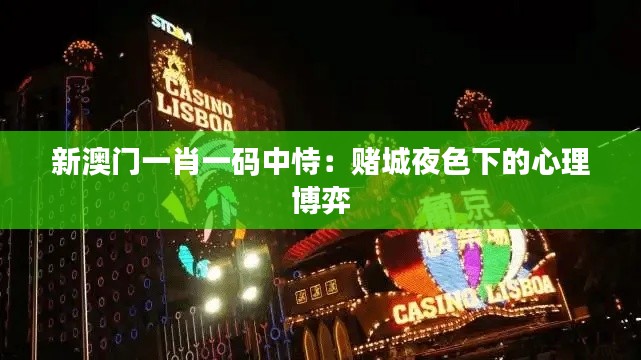 新澳门一肖一码中恃：赌城夜色下的心理博弈