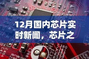 2024年12月13日 第47页