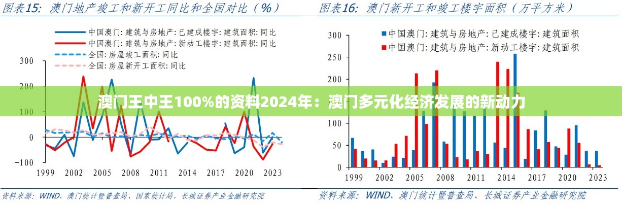 澳门王中王100%的资料2024年：澳门多元化经济发展的新动力