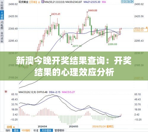 新澳今晚开奖结果查询：开奖结果的心理效应分析