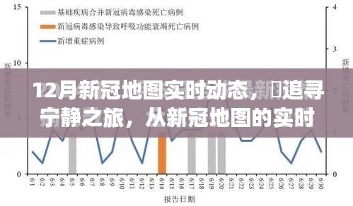 12月新冠地图实时动态，探索自然美景的治愈力量，追寻宁静之旅