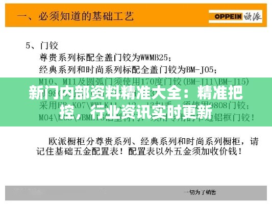 新门内部资料精准大全：精准把控，行业资讯实时更新