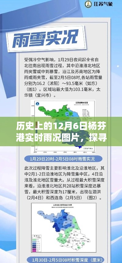 杨芬港历史雨况探寻与实时雨况图片查询全攻略，初学者与进阶指南（附图片）