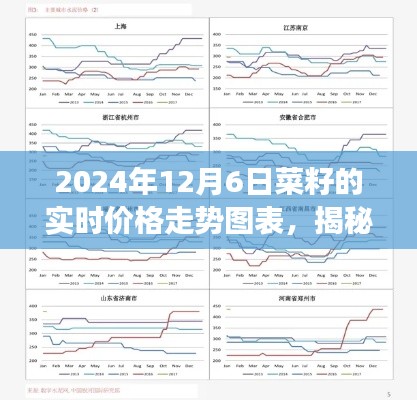 揭秘菜籽市场走势，2024年12月6日菜籽实时价格走势图表分析报告