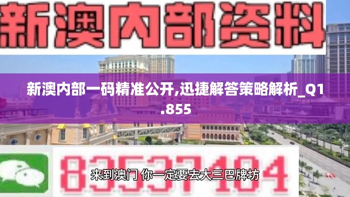 新澳内部一码精准公开,迅捷解答策略解析_Q1.855