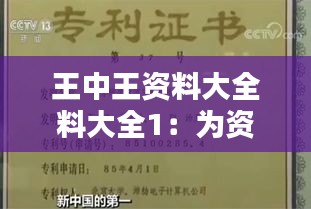 王中王资料大全料大全1：为资料检索插上智能的翅膀