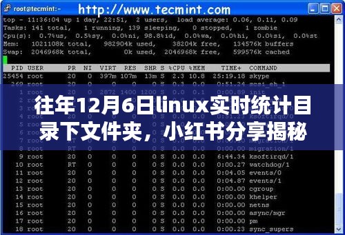 揭秘Linux魔法，如何在特定日期实时统计目录下文件夹的秘籍分享（附小红书教程）