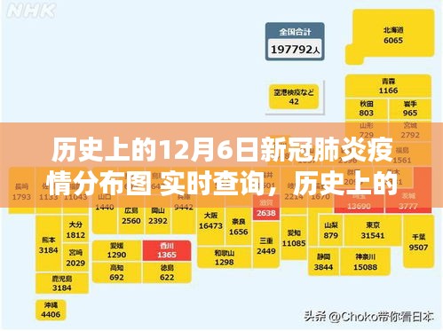 历史上的12月6日新冠疫情分布图实时查询，逆境中的力量与智慧对决