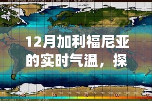 2024年12月13日 第22页