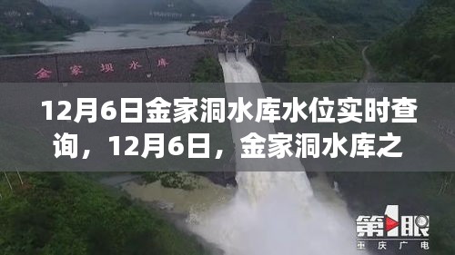 金家洞水库水位实时查询，探寻宁静美景之旅