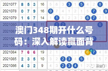 澳门348期开什么号码：深入解读赢面背后的数字密码