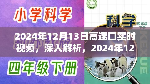 2024年高速口实时视频系统深度解析与评测报告