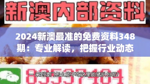 2024新澳最准的免费资料348期：专业解读，把握行业动态