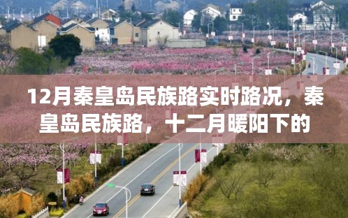 秦皇岛民族路实时路况播报，十二月暖阳下的温情旅途