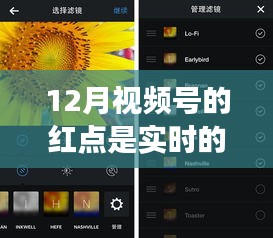 揭秘十二月视频号红点实时性的背后故事与影响