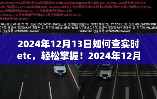 初学者与进阶用户都适用的2024年实时ETC查询全攻略，轻松掌握查询技巧！