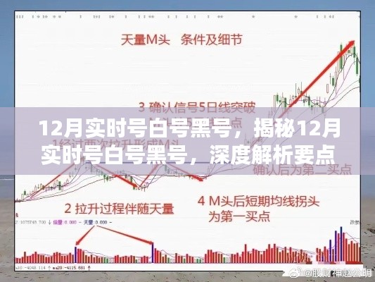 揭秘12月实时号白号黑号，深度解析要点、趋势与应对策略解析