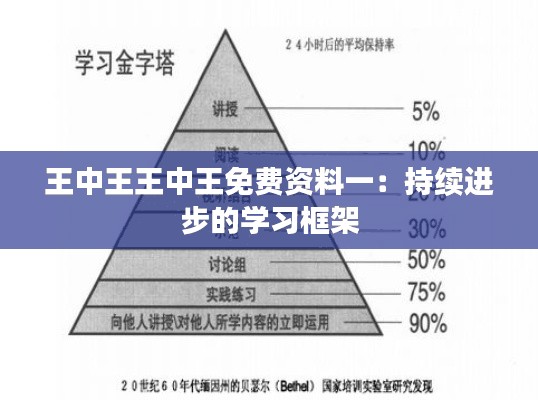 王中王王中王免费资料一：持续进步的学习框架