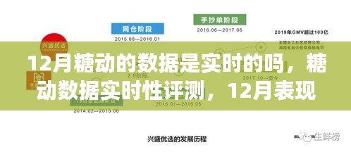 12月糖动数据实时性全面解析，深度剖析实时数据与表现