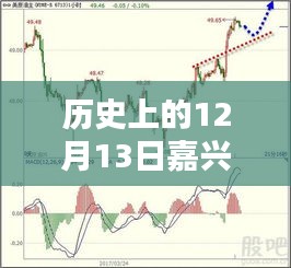 历史上的12月13日嘉兴玉米期货实时行情回顾与深度解析