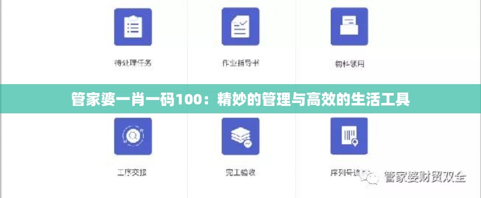 管家婆一肖一码100：精妙的管理与高效的生活工具