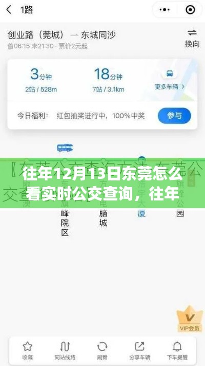 往年12月13日东莞实时公交查询详解，深度分析与个人观点分享