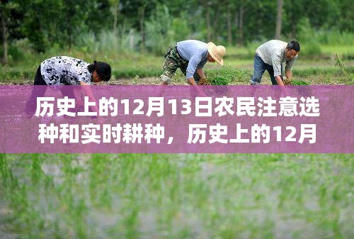 历史上的12月13日，农民选种与实时耕种智慧之道